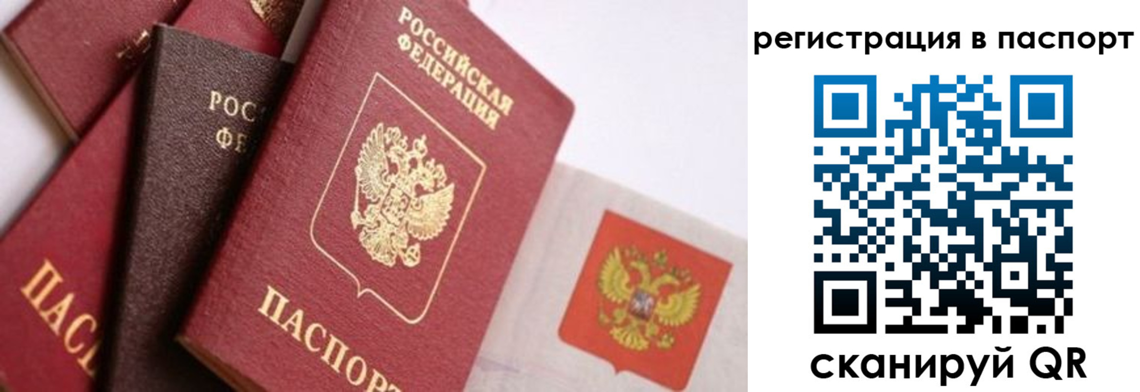 прописка в квартире в Фрязино
