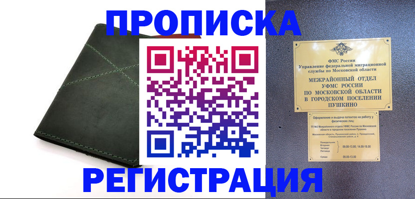 прописка в квартире в Фрязино